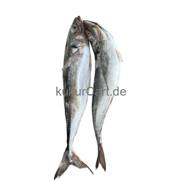 Horse Mackerel fish (3pcs) - image 1 | Omowest Afro Intercontinental Shop | KulturCart