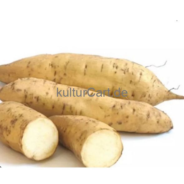 White Uganda Sweet Potato - image 2 | Omowest Afro Intercontinental Shop | KulturCart