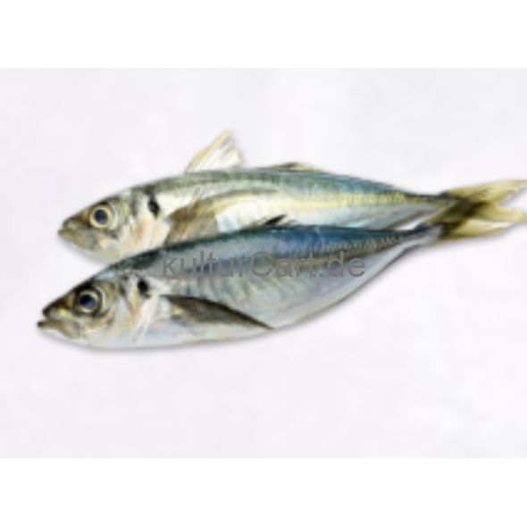 Horse Mackerel fish (3pcs) - image 6 | Omowest Afro Intercontinental Shop | KulturCart