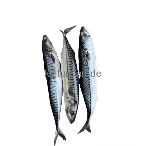 Half carton fish - image 1 | Omowest Afro Intercontinental Shop | KulturCart