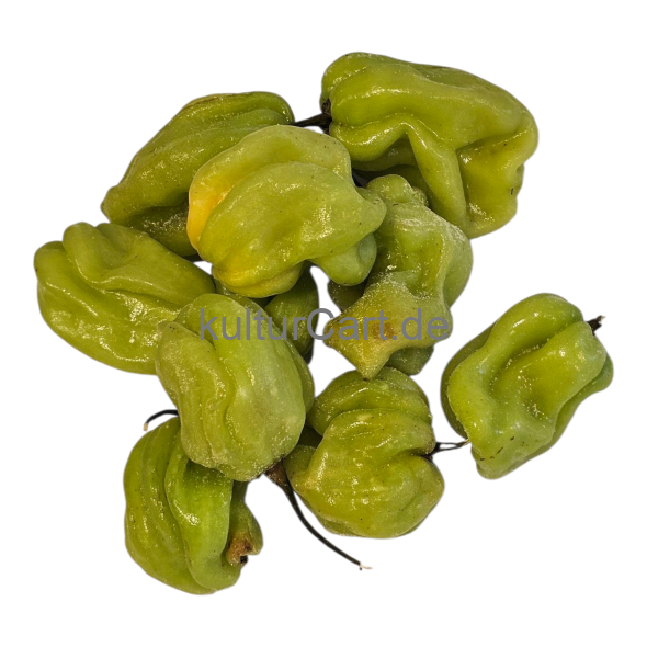 Fresh Pepper (Green) - image 1 | Malaika afro international Markt | KulturCart