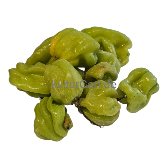 Fresh Pepper (Green) - image 2 | Malaika afro international Markt | KulturCart