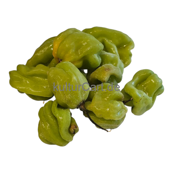 Fresh Pepper (Green) - image 3 | Malaika afro international Markt | KulturCart