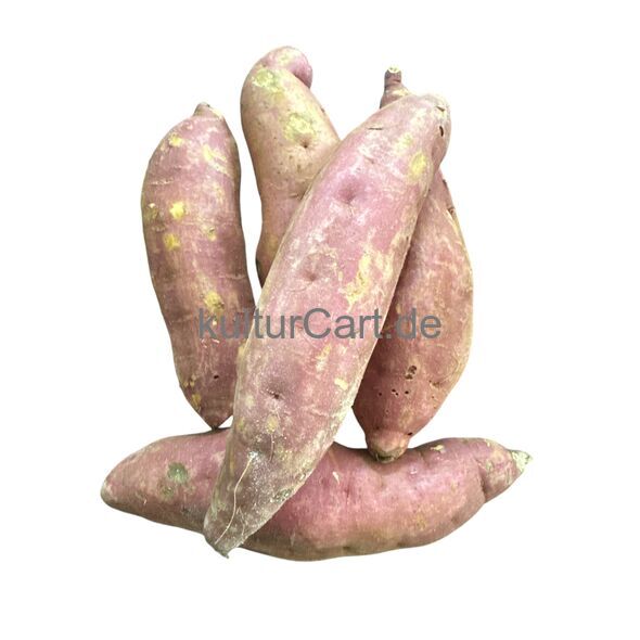 Sweet Potato (Fresh produce) - image 3 | Omowest Afro Intercontinental Shop | KulturCart