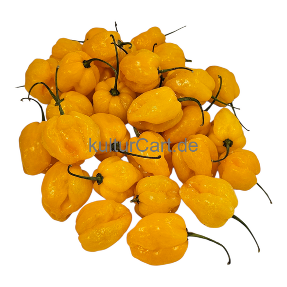 Fresh Pepper (Yellow) - image 8 | Malaika afro international Markt | KulturCart