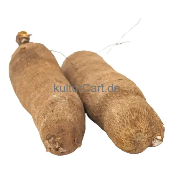 Fresh African Yam - image 2 | OMOWEST AFRO INTERCONTINENTAL SHOP | KulturCart