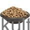 Fresh Groundnut - image 1 | Omowest Afro Intercontinental Shop | KulturCart