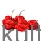 Fresh Pepper (Habanero Rot) - image 1 | OMOWEST AFRO INTERCONTINENTAL SHOP | KulturCart